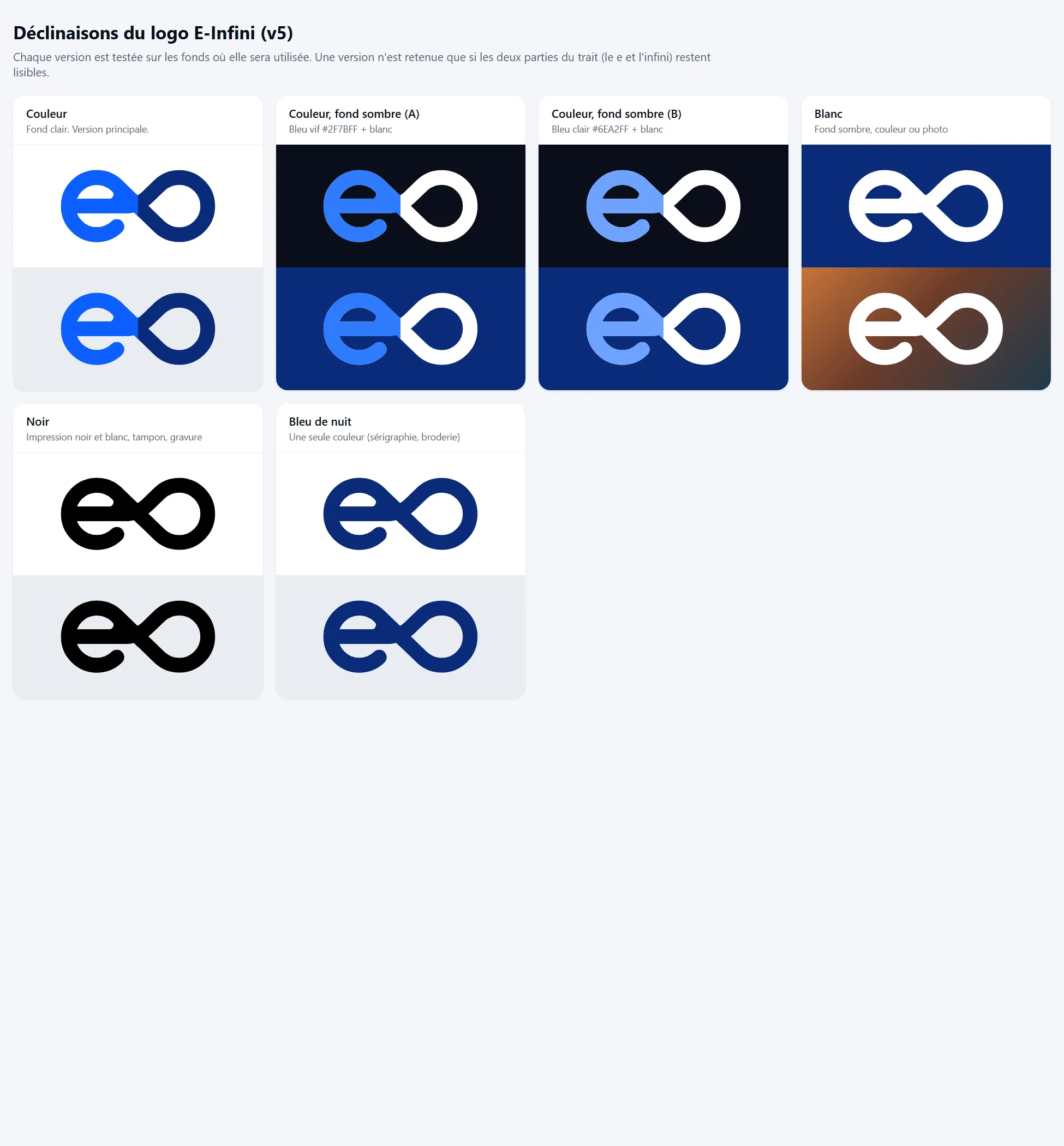 Déclinaisons du logo E-Infini